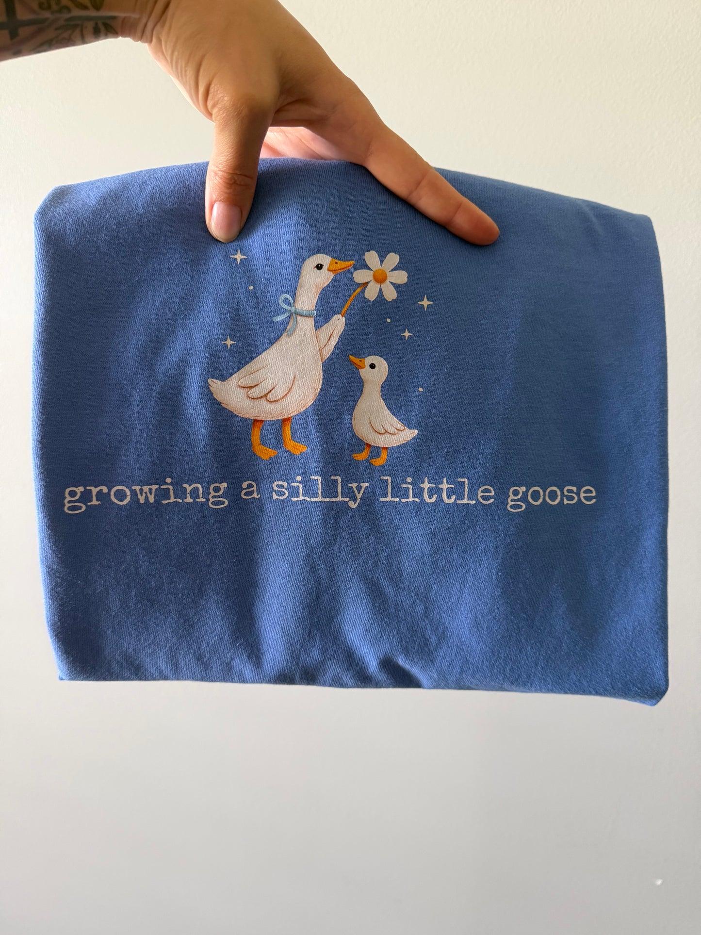 Growing a silly little Goose