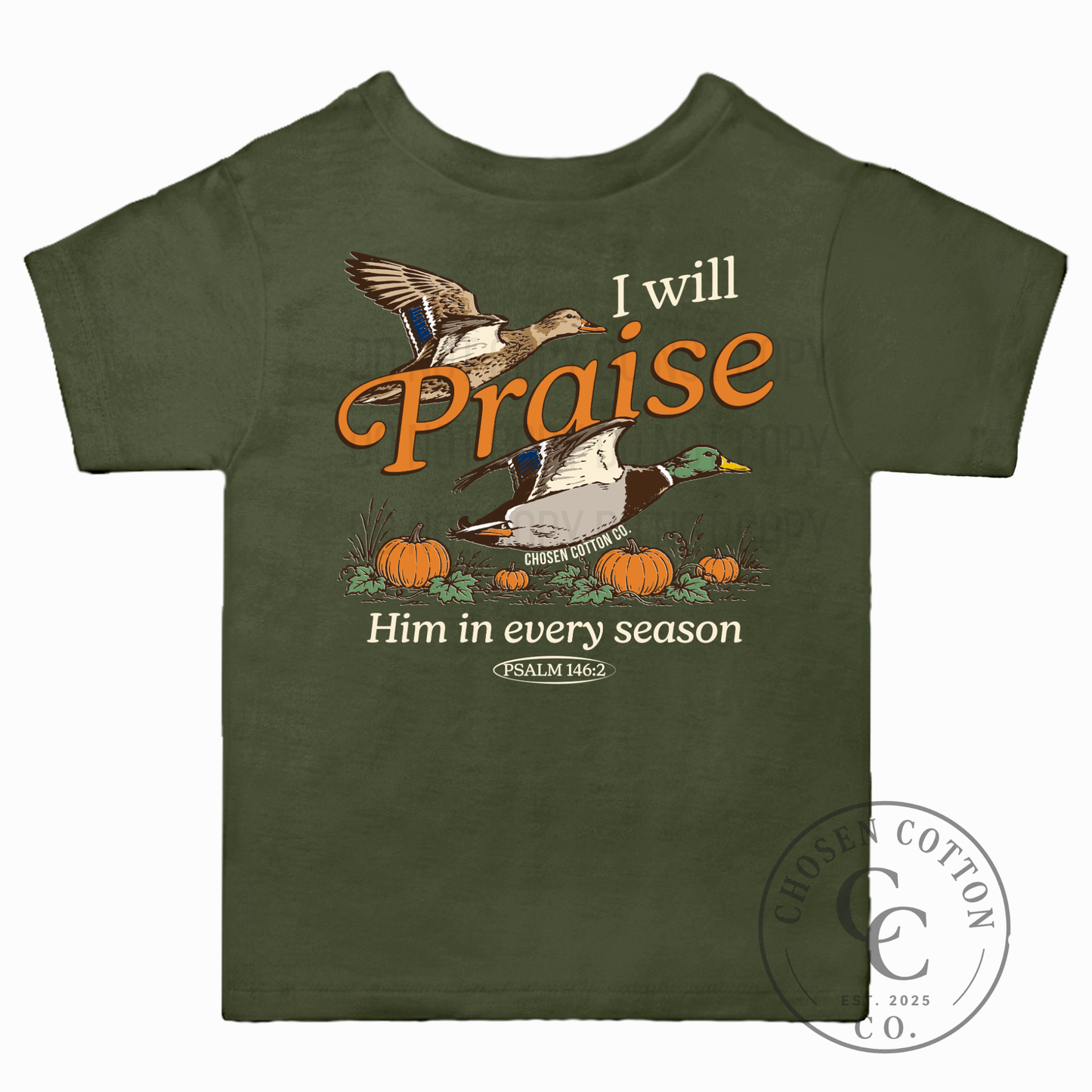 Praise Him In Every Season