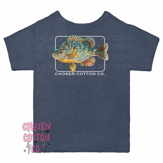 Pumpkinseed Bream